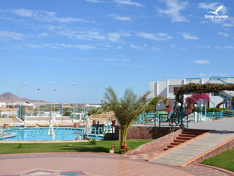 Картинка - 12