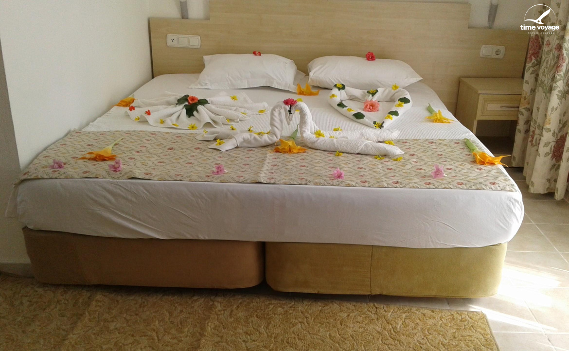 Картинка - 12