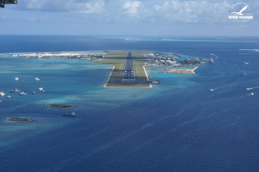 Картинка - 2