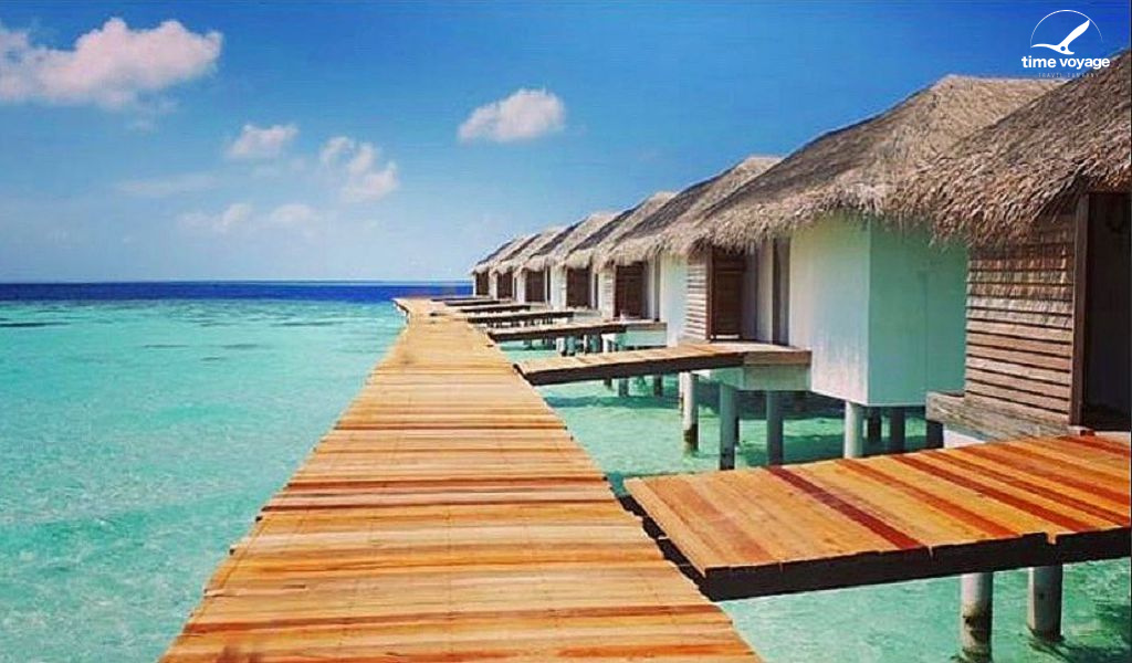 Картинка - 5