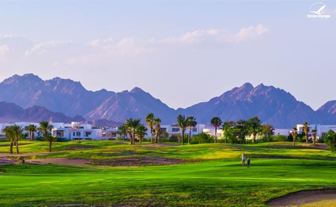 Картинка - 18