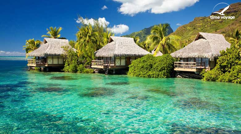 Картинка - 1