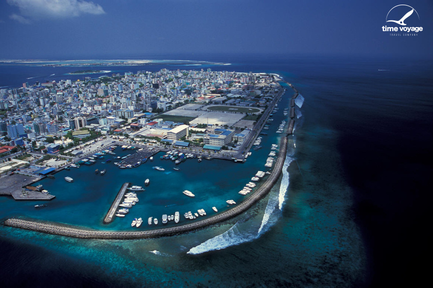 Картинка - 1