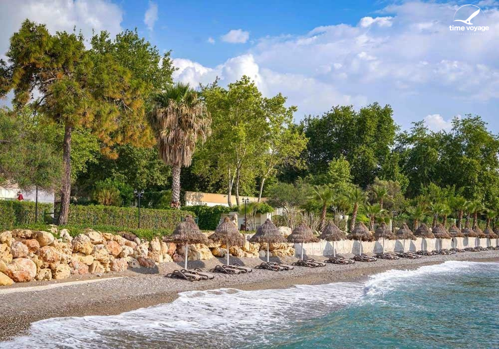 Картинка - 12