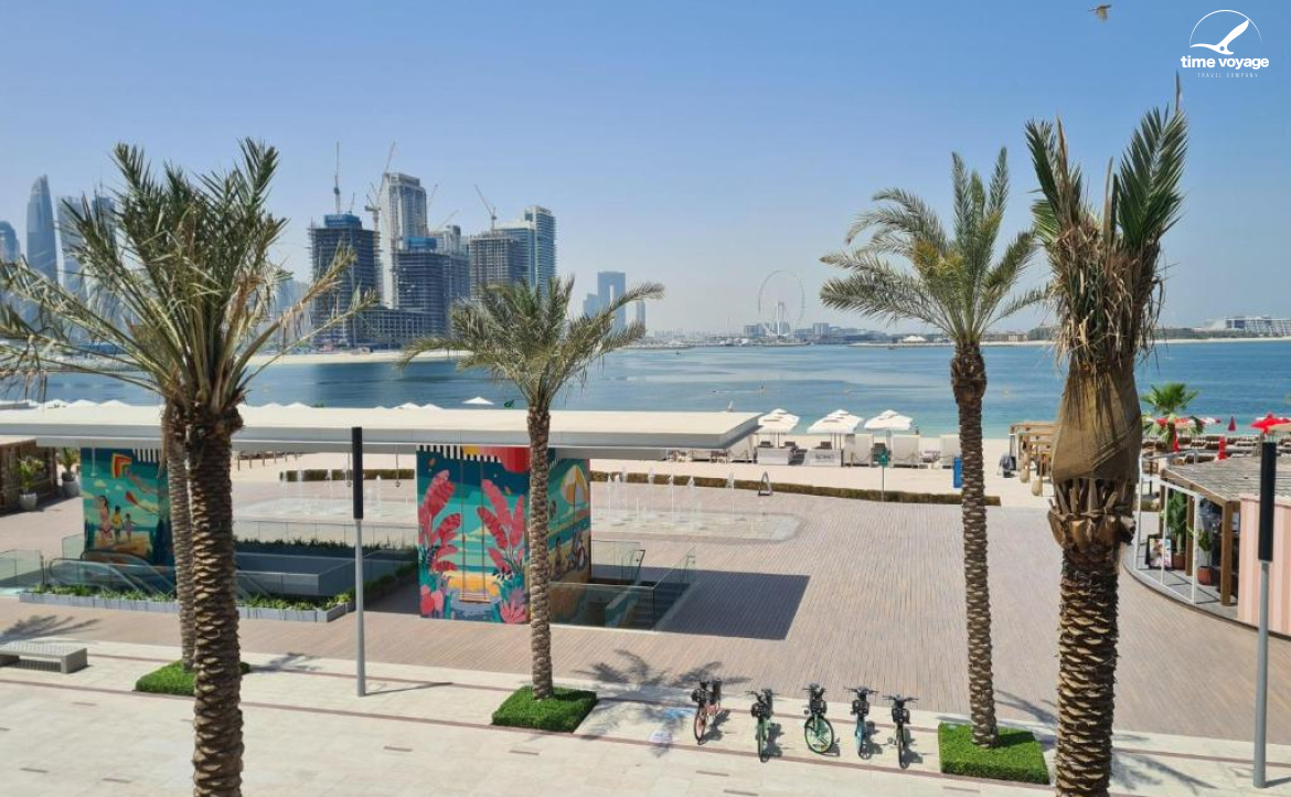 Картинка - 3