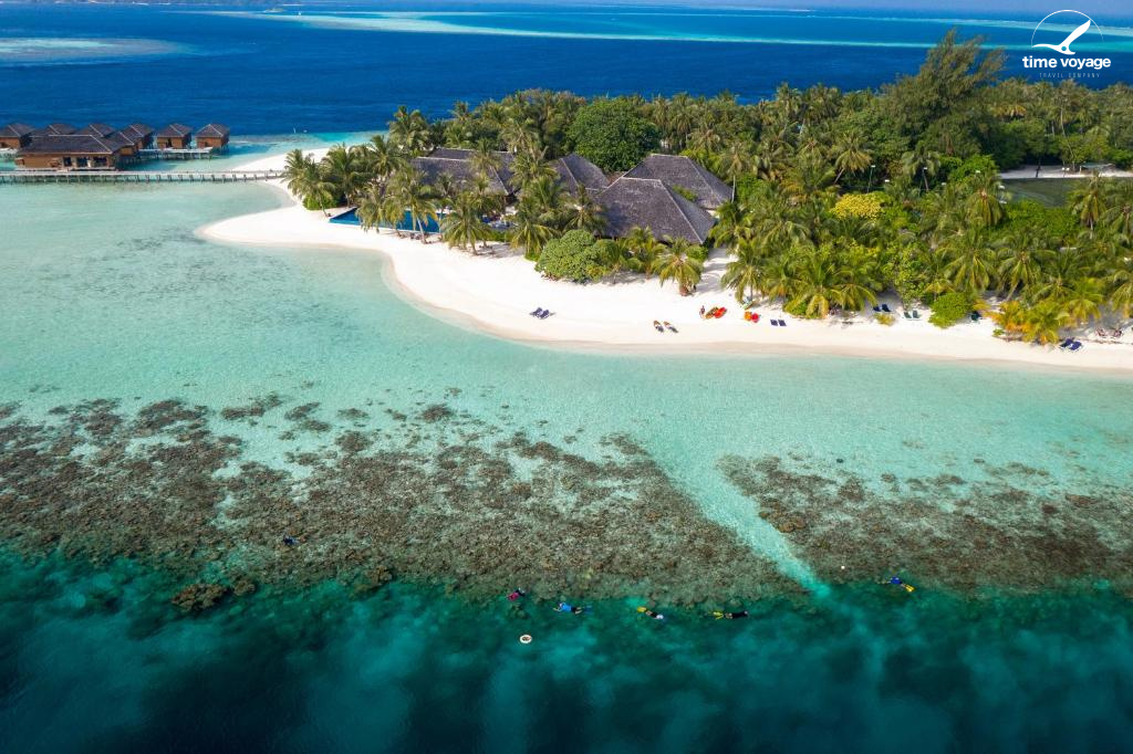 Картинка - 1