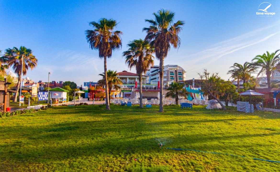 Картинка - 7