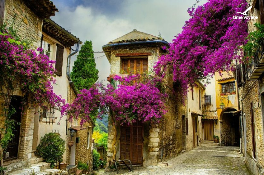 Картинка - 3