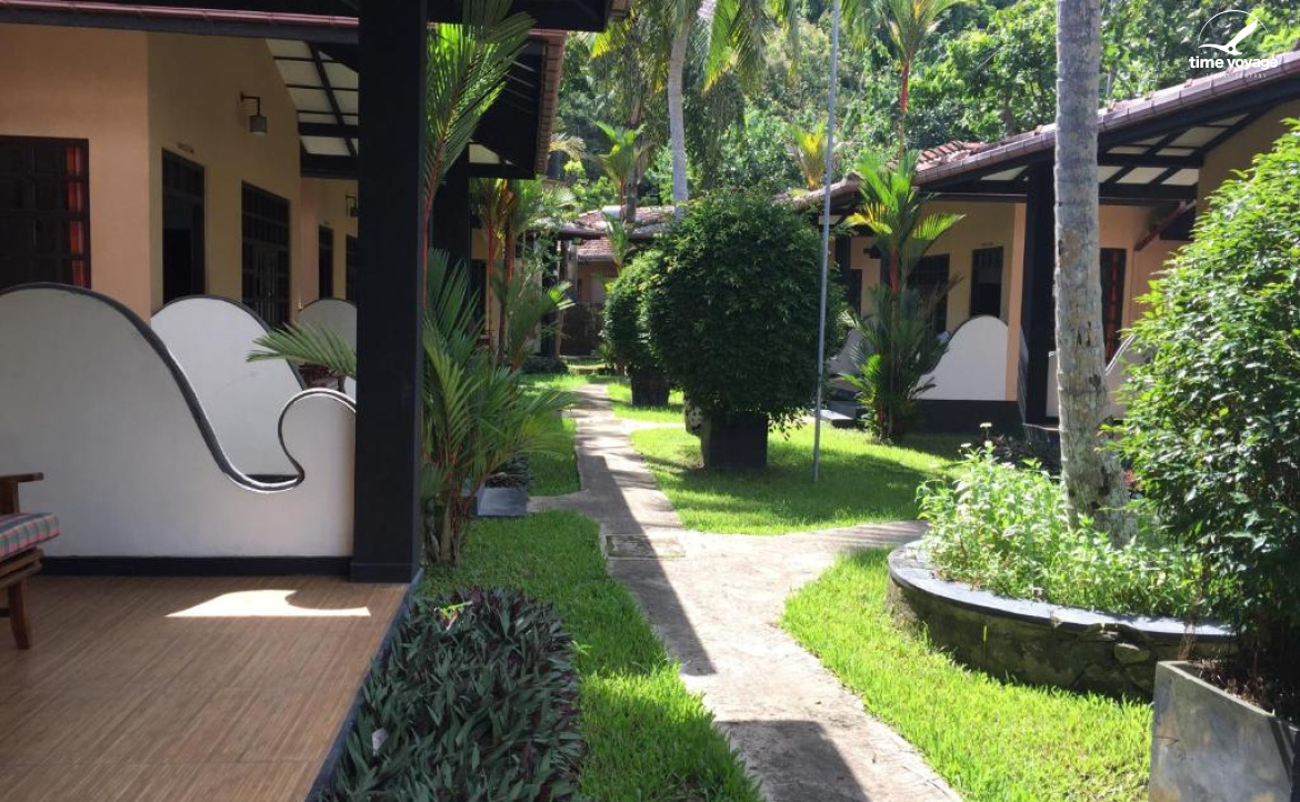 Картинка - 6