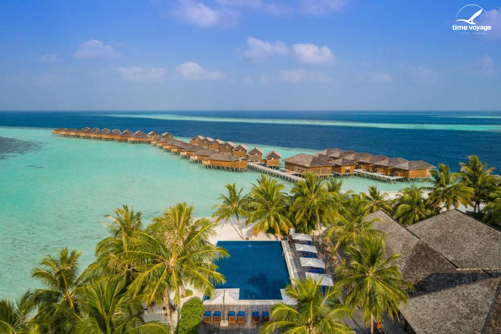 Картинка - 3