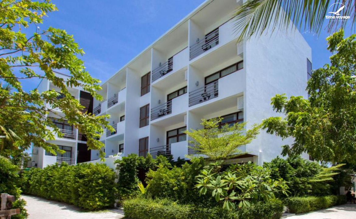 Картинка - 5