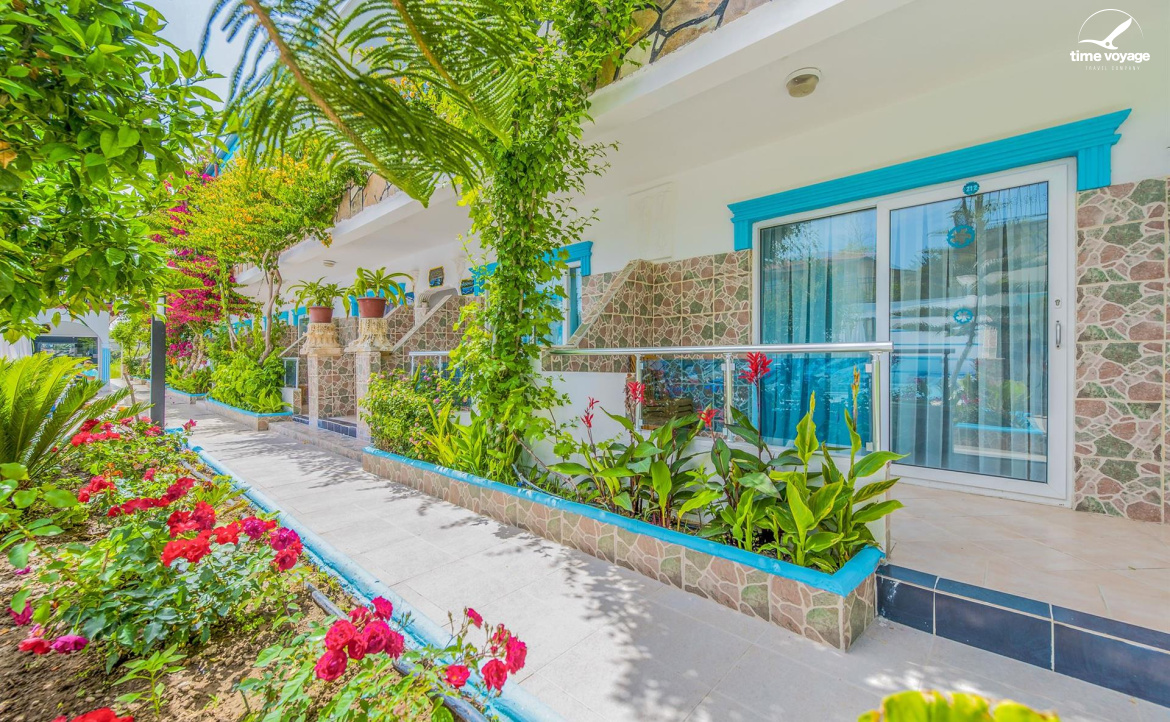 Картинка - 2