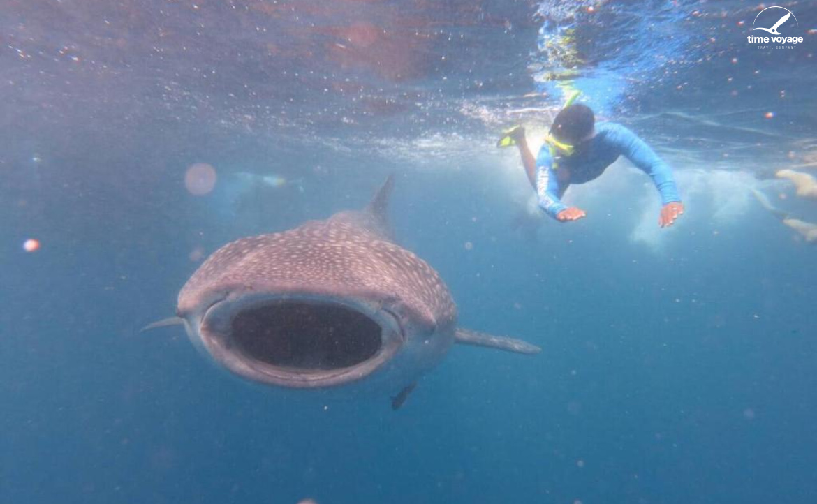 Картинка - 10