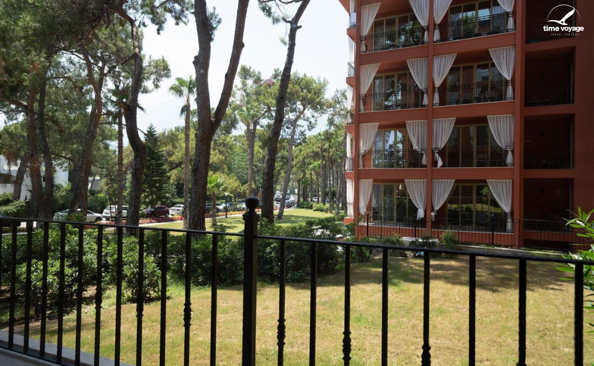 Картинка - 31