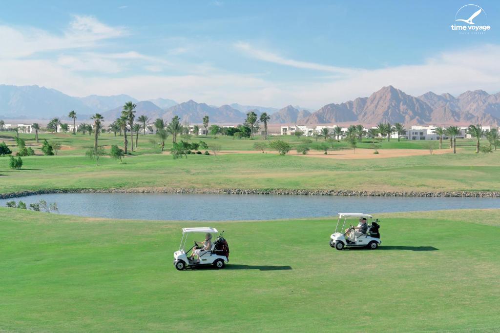 Картинка - 24