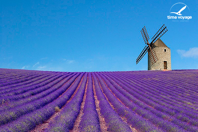 Картинка - 2