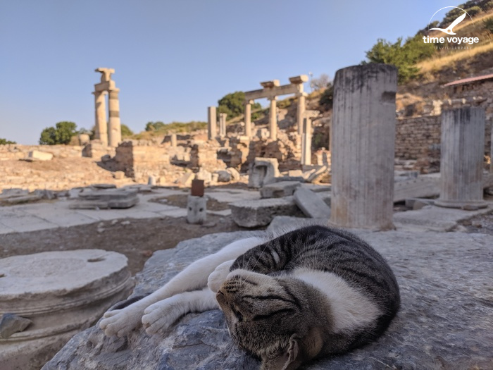 Картинка - 1