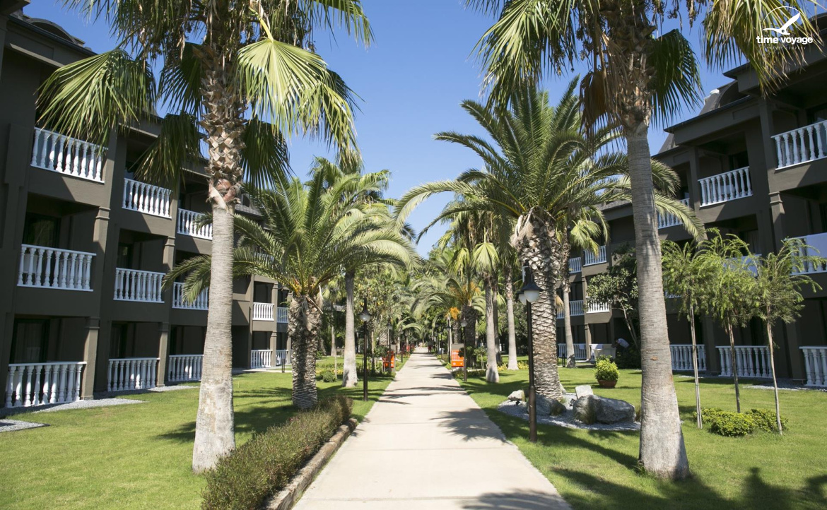 Картинка - 3