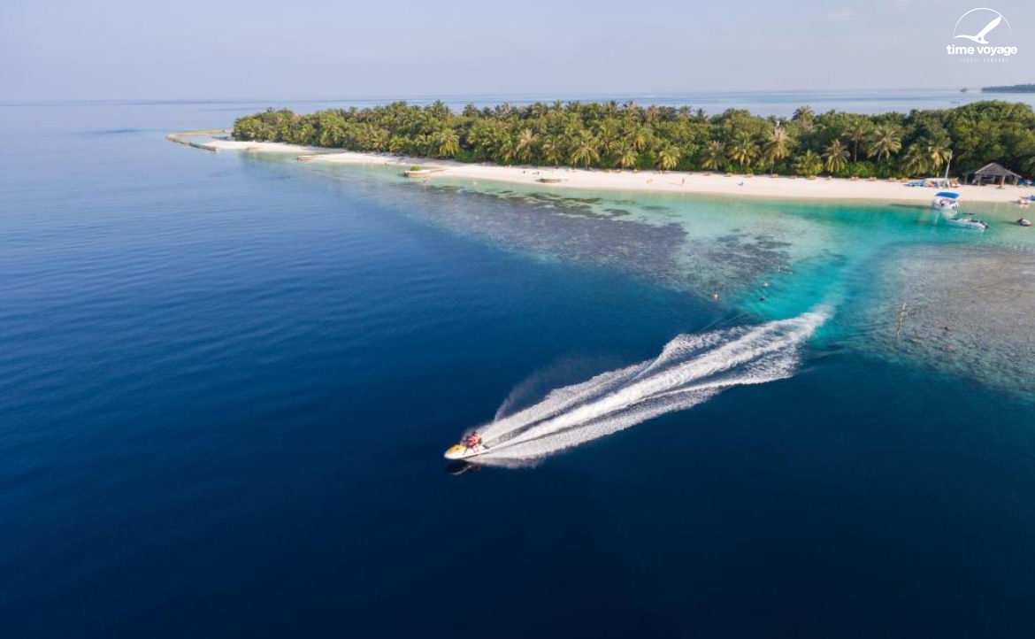 Картинка - 12