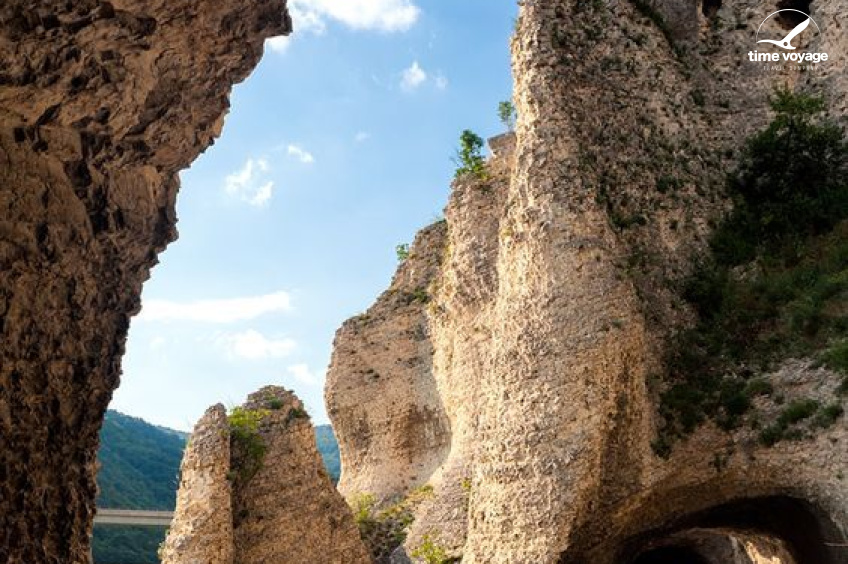 Картинка - 5