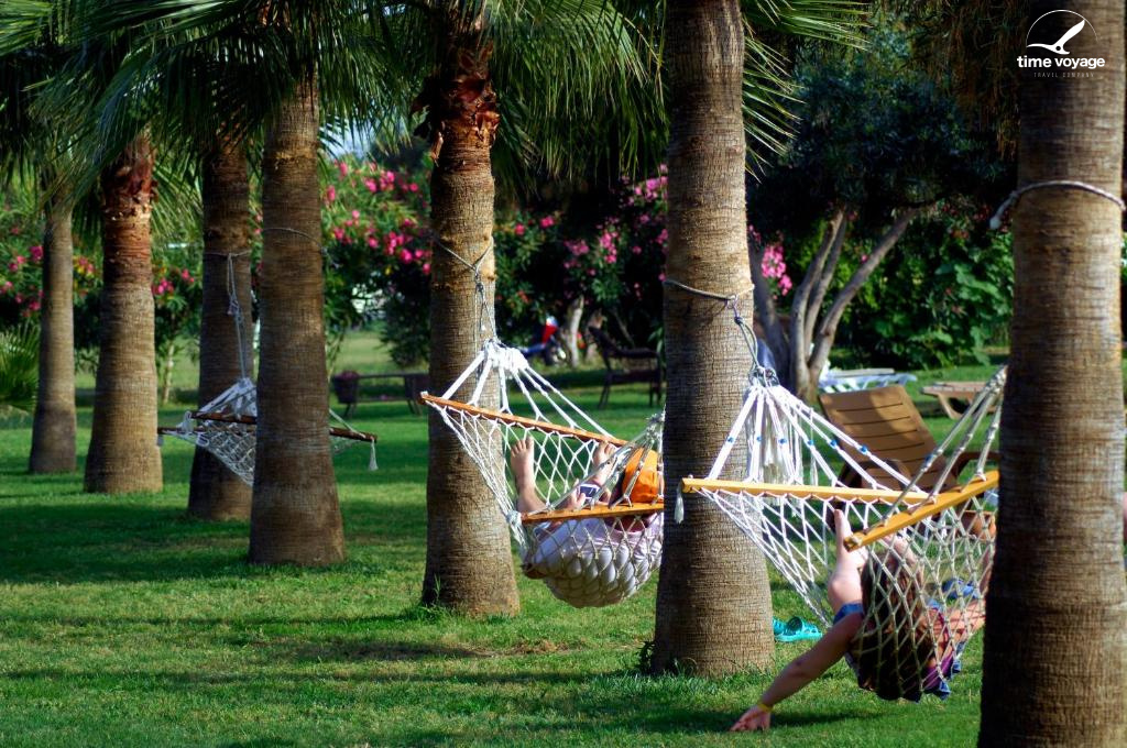 Картинка - 13