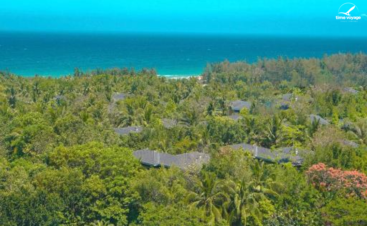 Картинка - 7