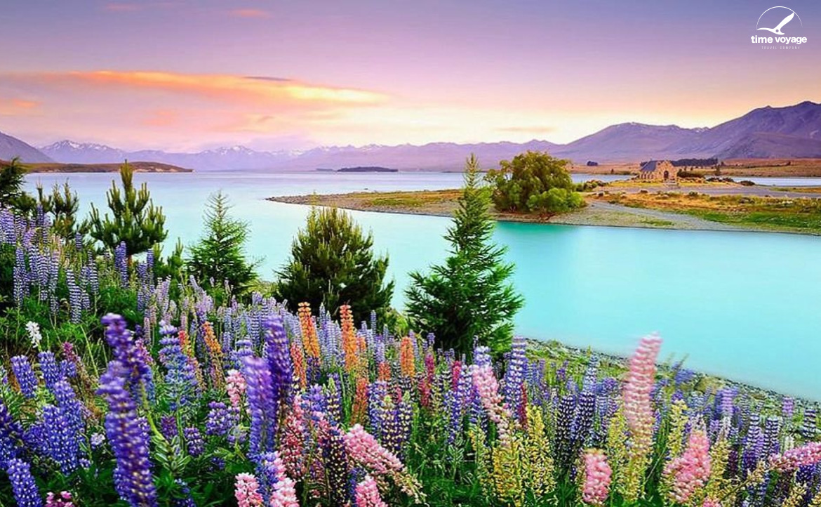 Картинка - 1