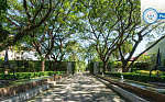 Картинка - 2
