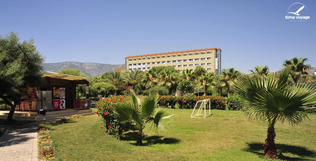 Картинка - 5