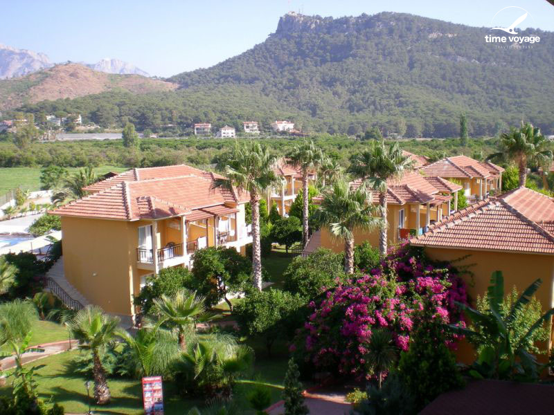 Картинка - 1