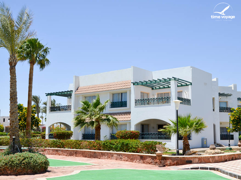 Картинка - 1