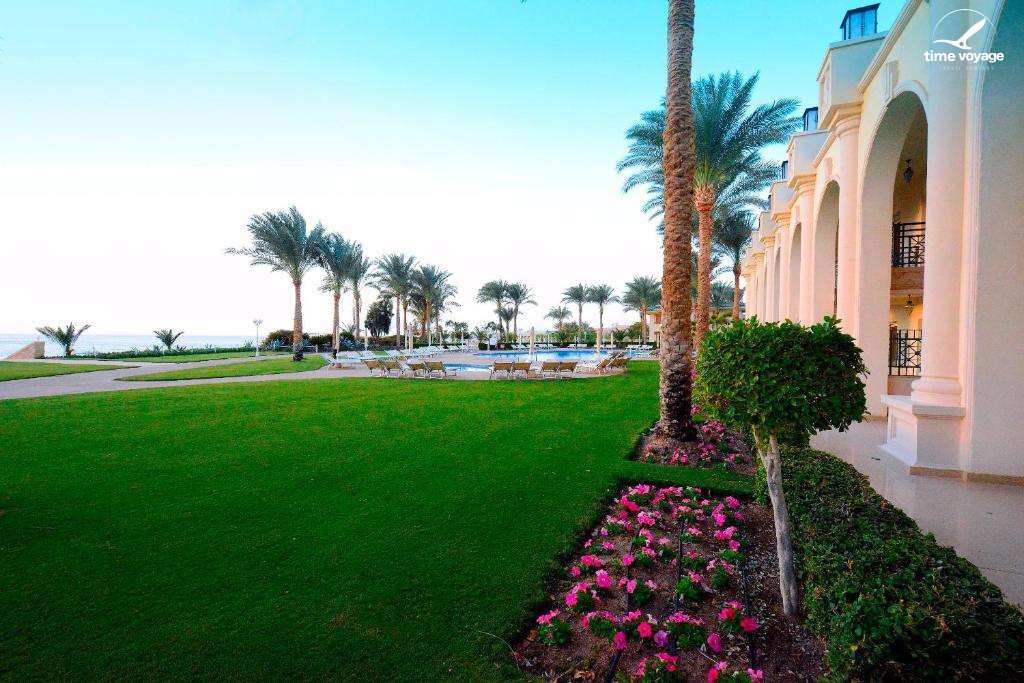 Картинка - 7