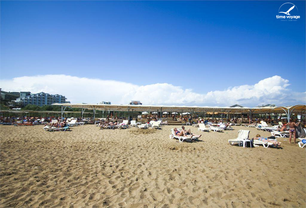 Картинка - 11