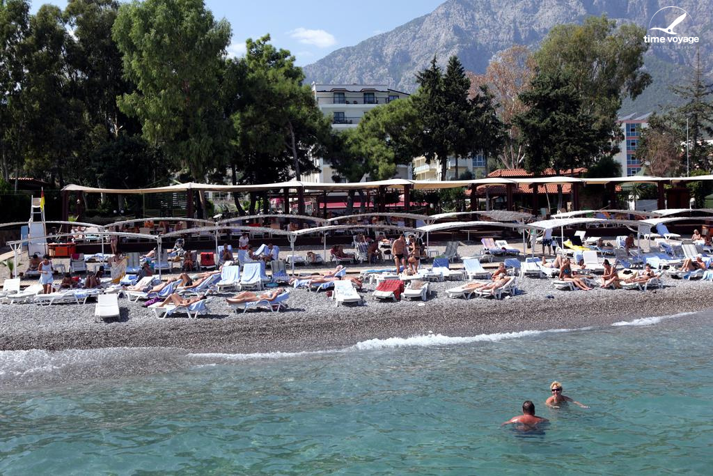 Картинка - 3