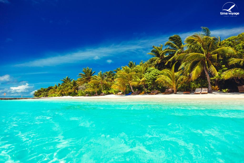 Картинка - 5