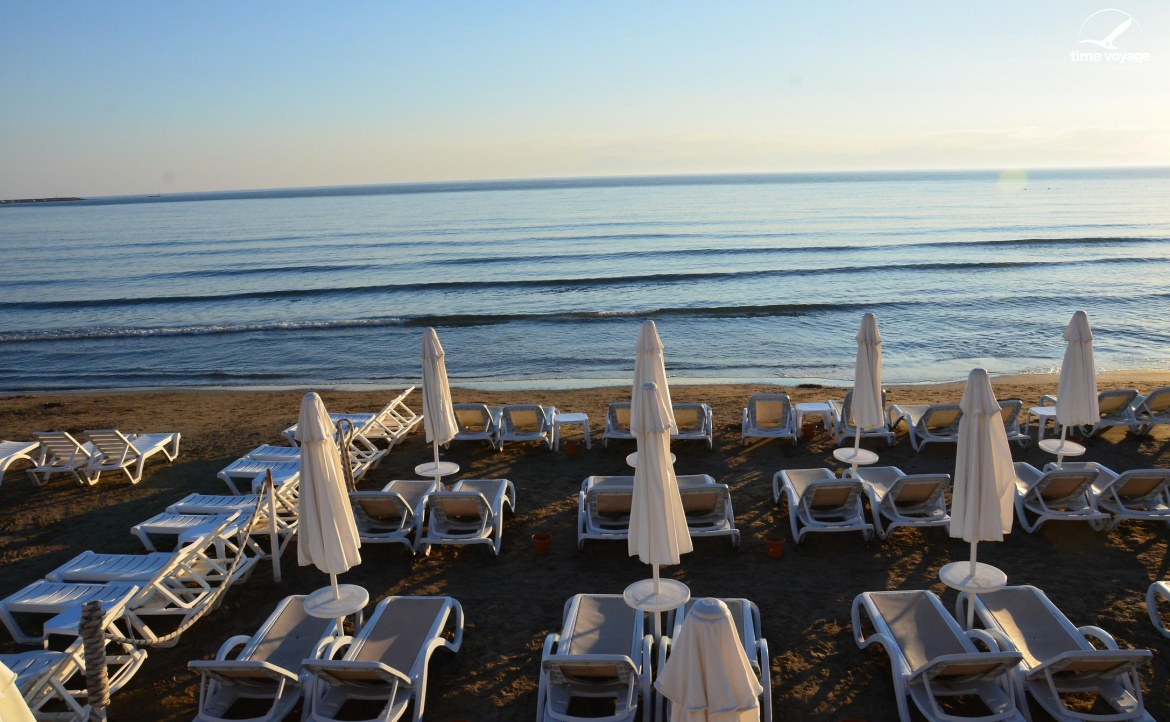 Картинка - 1