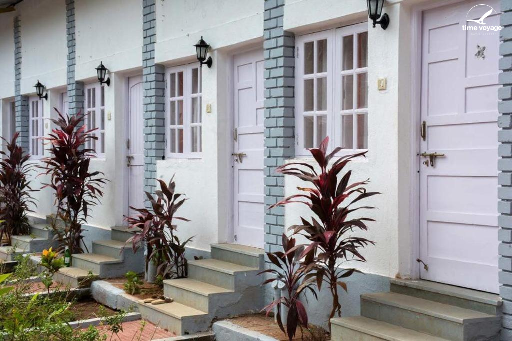 Картинка - 12