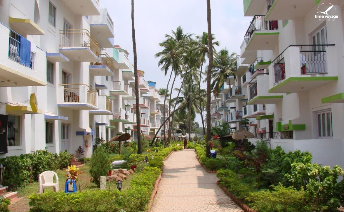 Картинка - 3