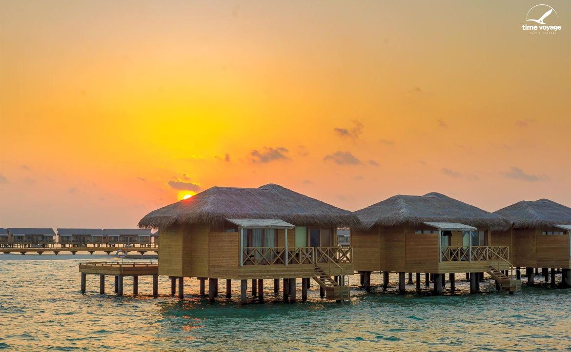 Картинка - 17