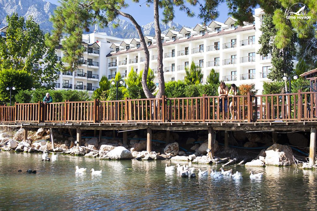 Картинка - 6