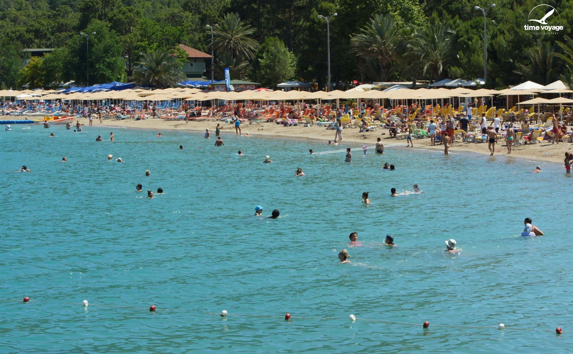 Картинка - 8