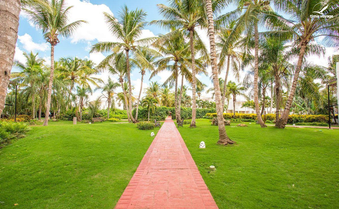 Картинка - 9