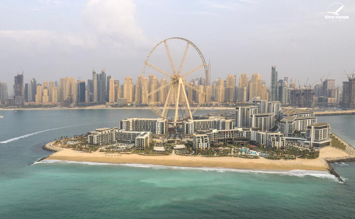 Картинка - 1