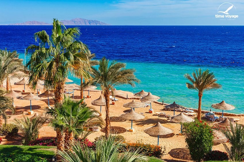 Картинка - 1