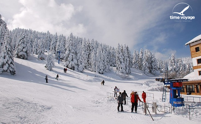 Картинка - 2