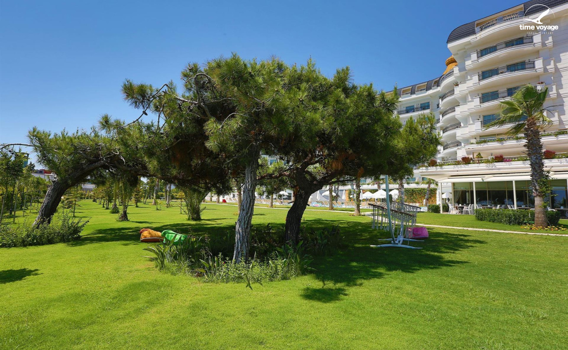 Картинка - 2