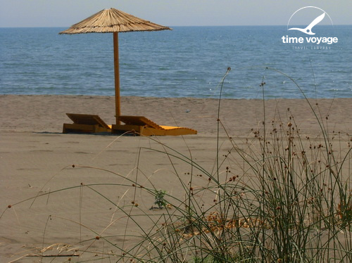 Картинка - 8