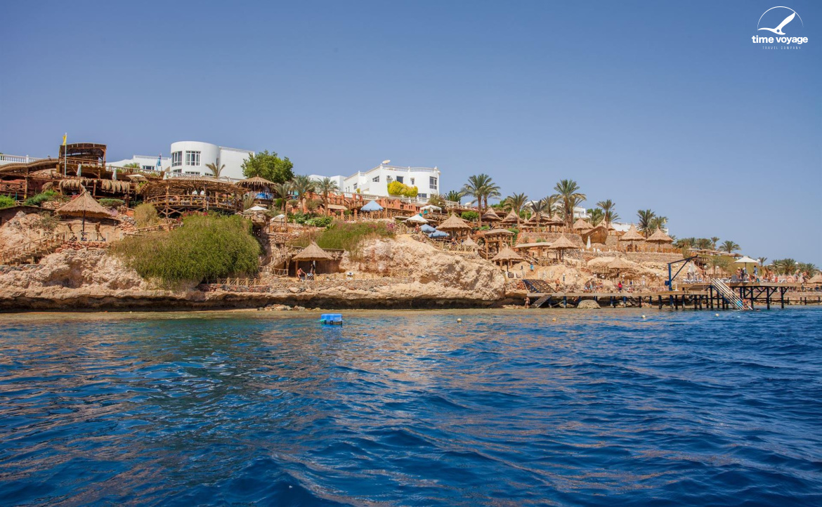 Картинка - 8