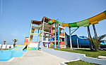 Картинка - 4