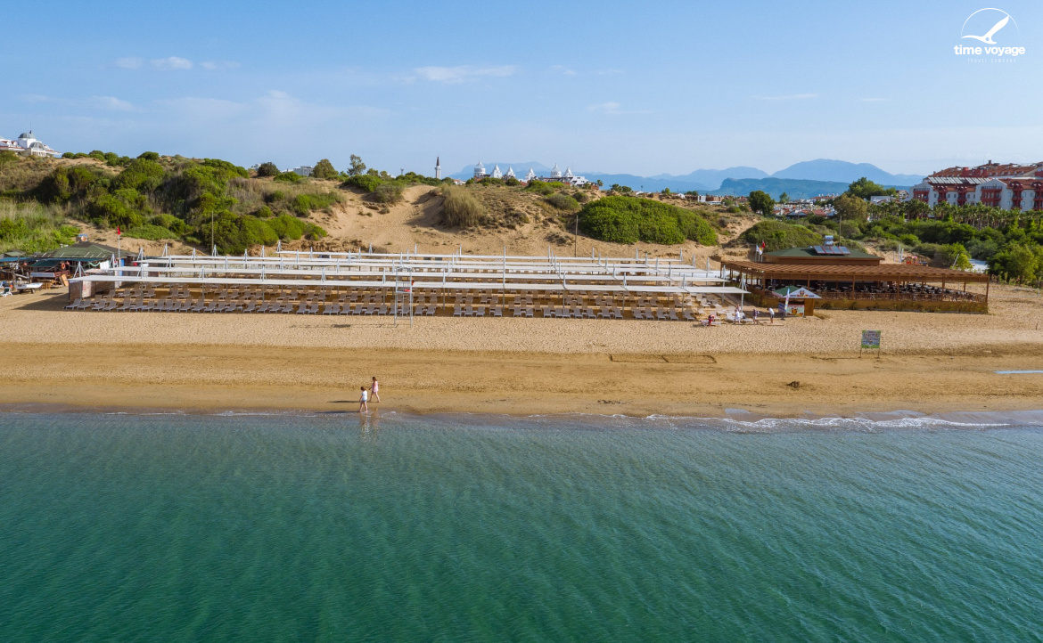 Картинка - 13